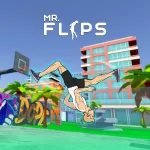 mr-flip