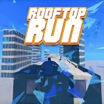 rooftop-run